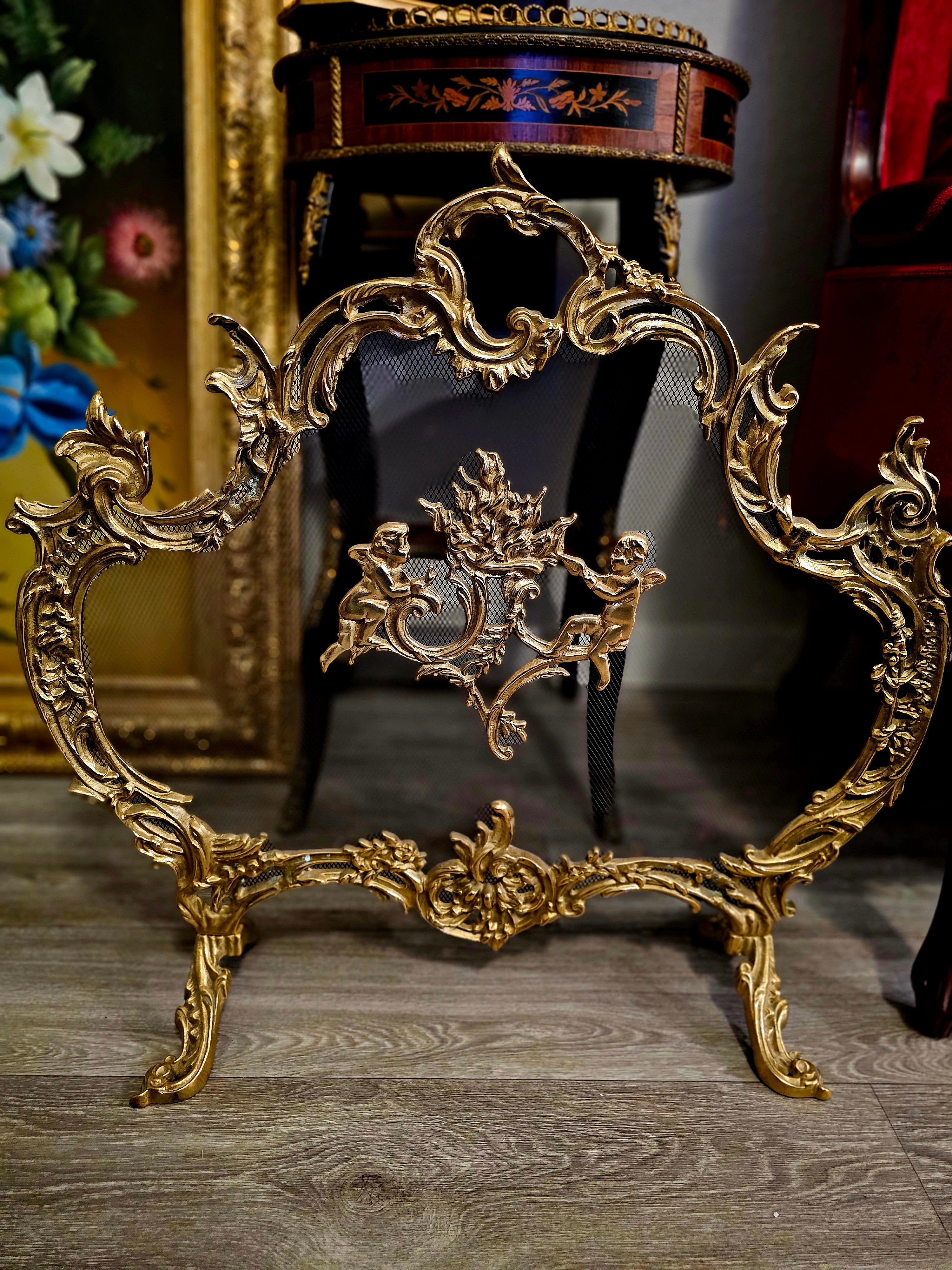 French Brass Fireplace Screen